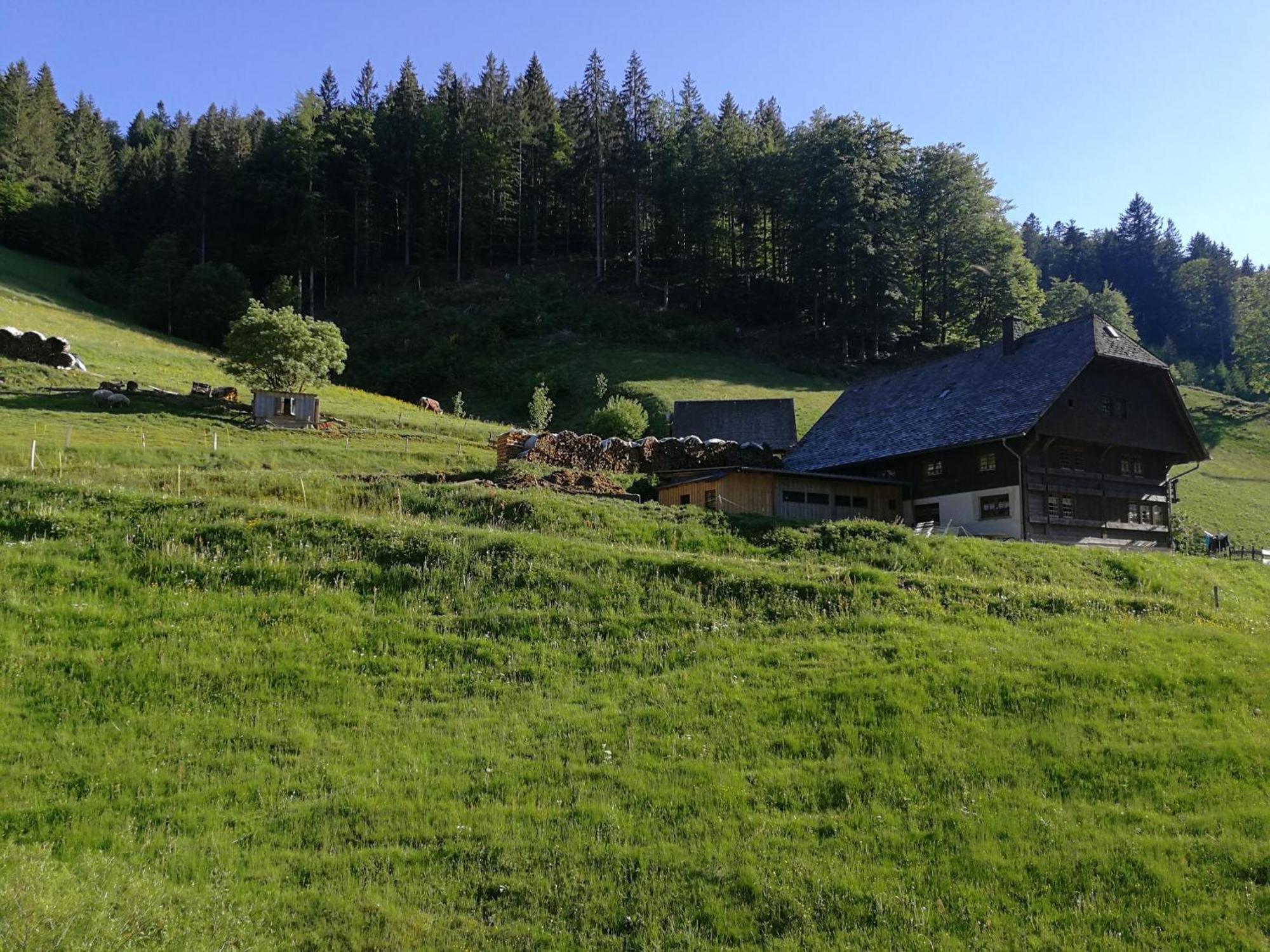 Ferienwohnung Glashuette Sankt Märgen Kültér fotó